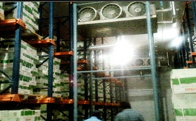 Service Image